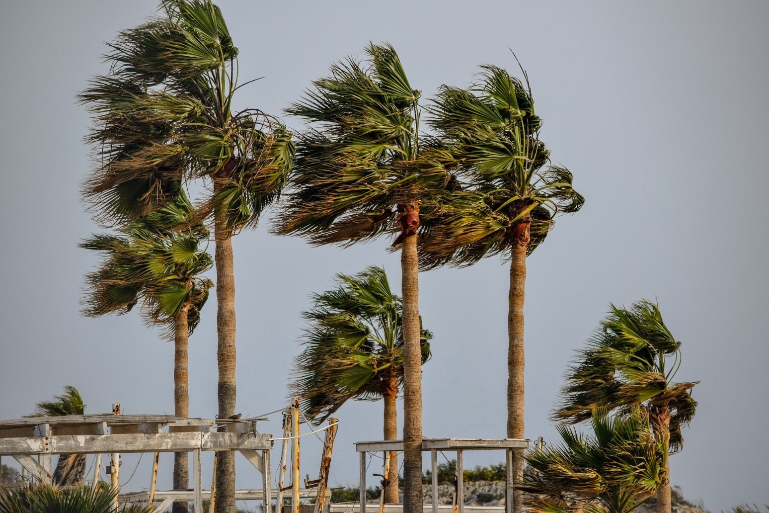 Tropical Storm Cristobal advances towards US Gulf Coast 